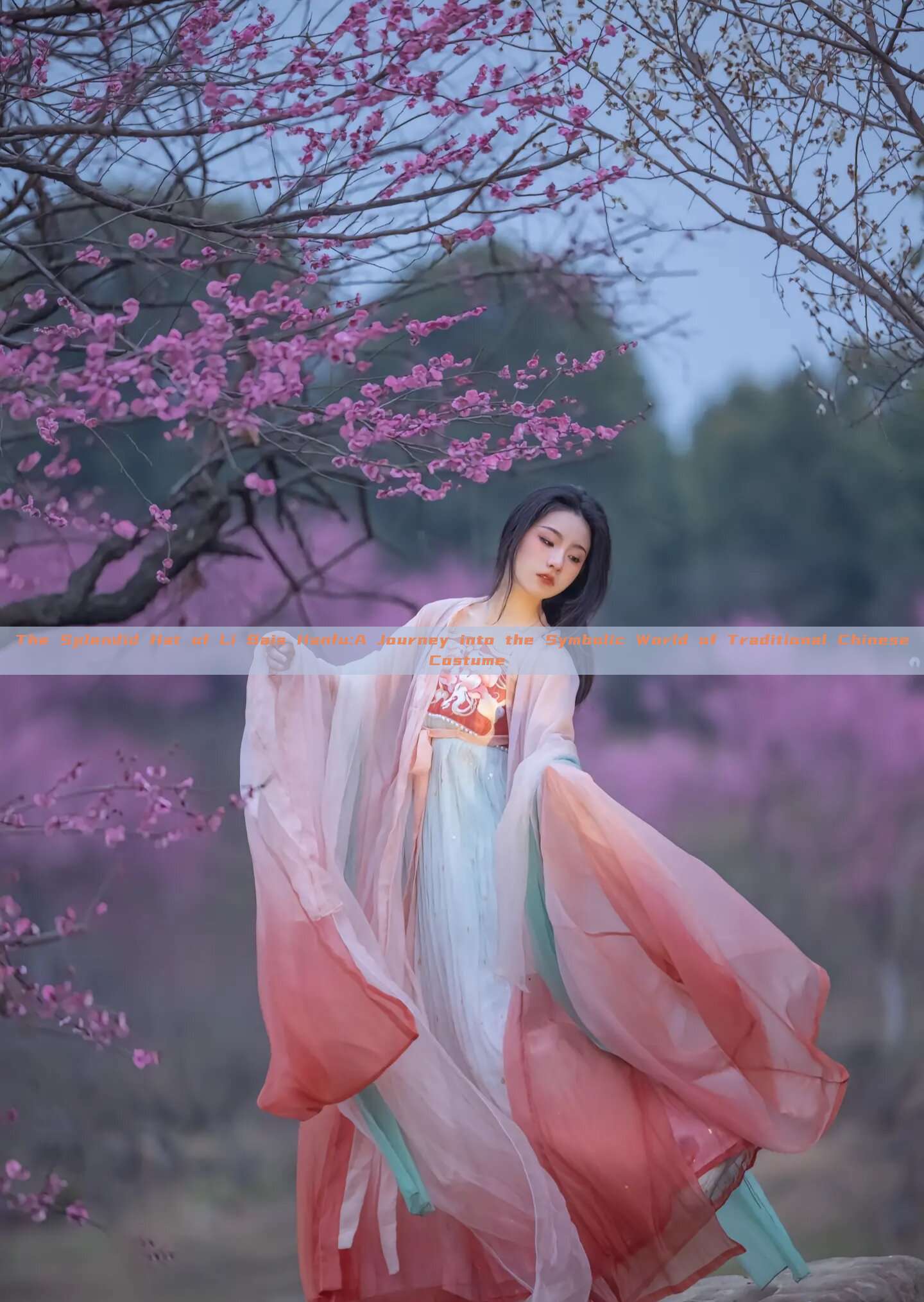 The Splendid Hat of Li Bais Hanfu:A Journey into the Symbolic World of Traditional Chinese Costume The Splendid Hat of Li Bais Hanfu:A Journey into the Symbolic World of Traditional Chinese Costume