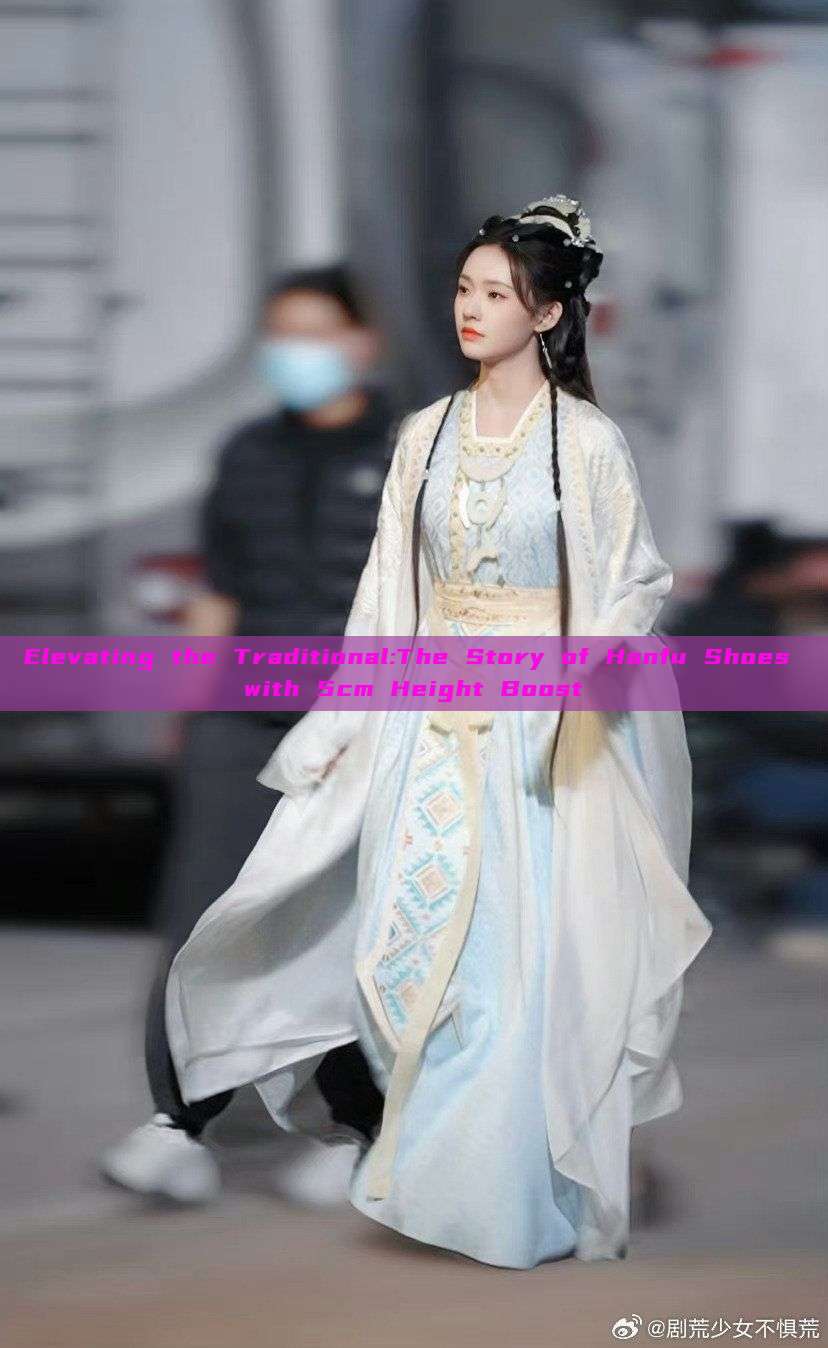 Elevating the Traditional:The Story of Hanfu Shoes with 5cm Height Boost Elevating the Traditional:The Story of Hanfu Shoes with 5cm Height Boost