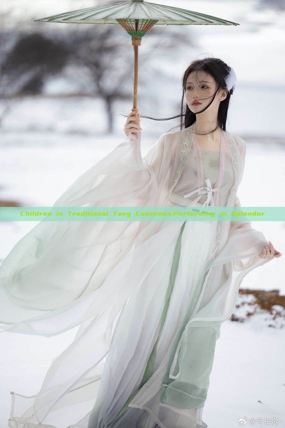 Children in Traditional Tang Costumes:Performing in Splendor Children in Traditional Tang Costumes:Performing in Splendor