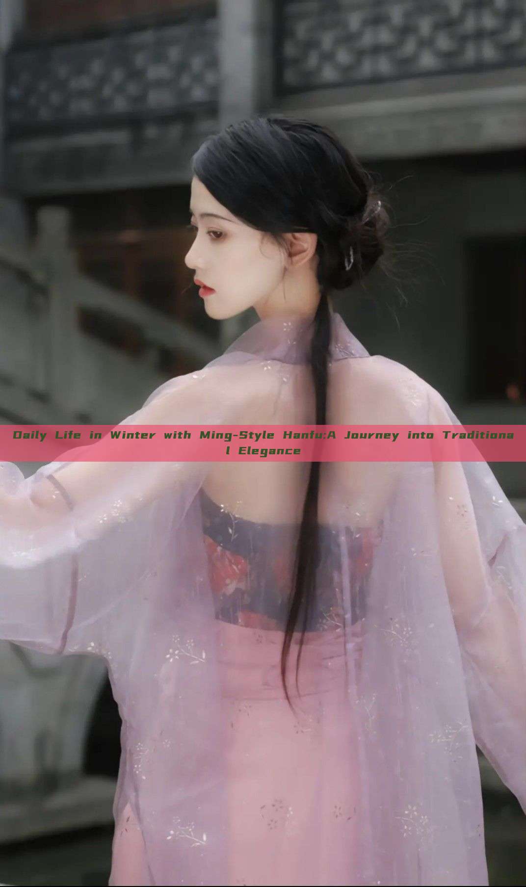 Daily Life in Winter with Ming-Style Hanfu:A Journey into Traditional Elegance Daily Life in Winter with Ming-Style Hanfu:A Journey into Traditional Elegance
