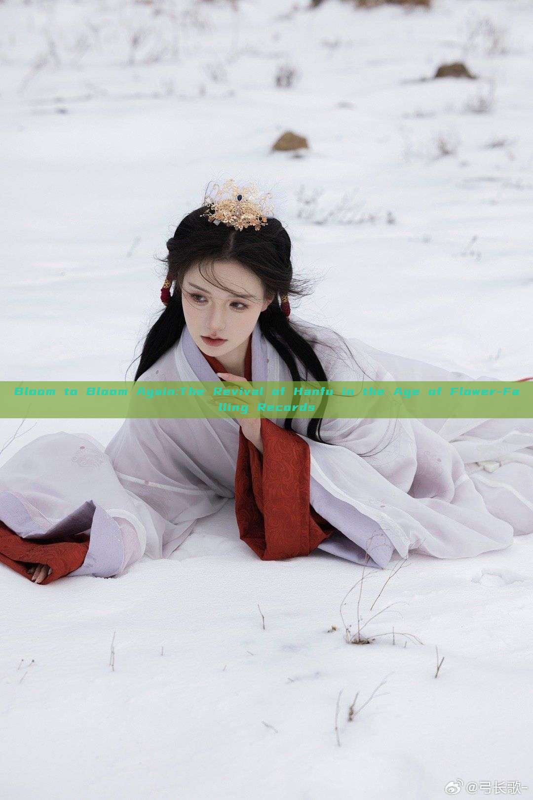 Bloom to Bloom Again:The Revival of Hanfu in the Age of Flower-Falling Records Bloom to Bloom Again:The Revival of Hanfu in the Age of Flower-Falling Records