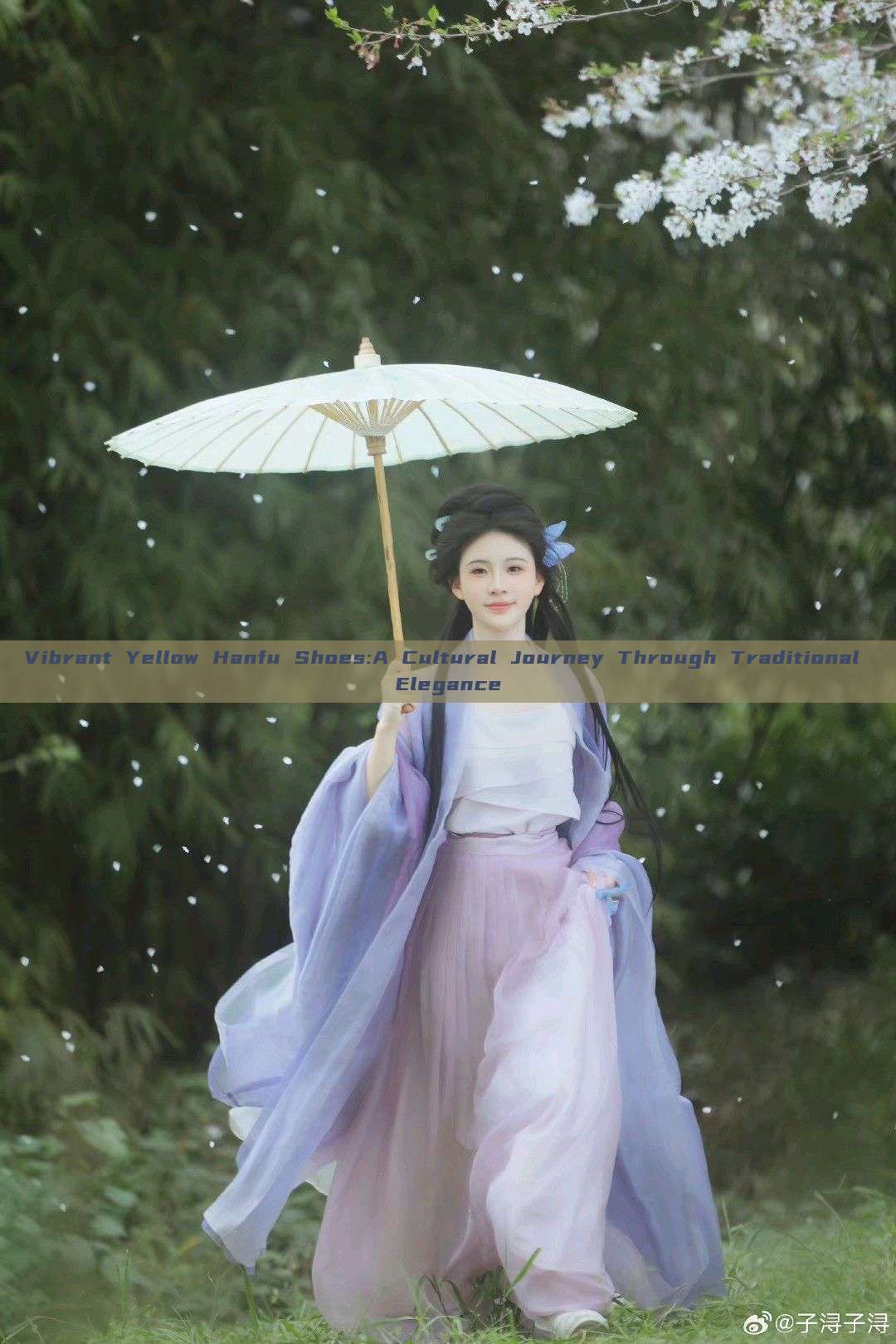 Vibrant Yellow Hanfu Shoes:A Cultural Journey Through Traditional Elegance Vibrant Yellow Hanfu Shoes:A Cultural Journey Through Traditional Elegance