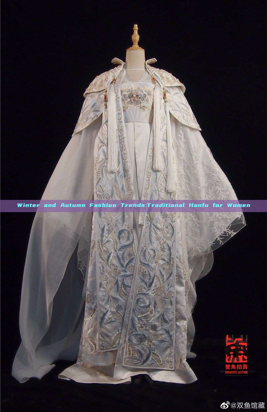 Winter and Autumn Fashion Trends:Traditional Hanfu for Women Winter and Autumn Fashion Trends:Traditional Hanfu for Women
