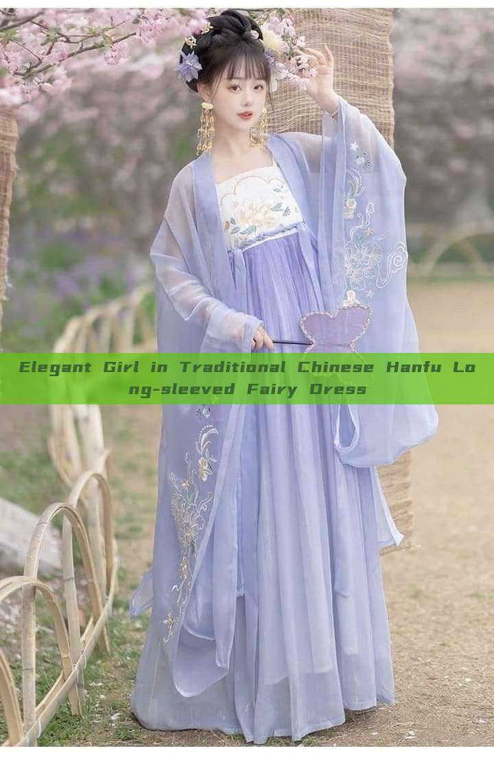 Elegant Girl in Traditional Chinese Hanfu Long-sleeved Fairy Dress Elegant Girl in Traditional Chinese Hanfu Long-sleeved Fairy Dress