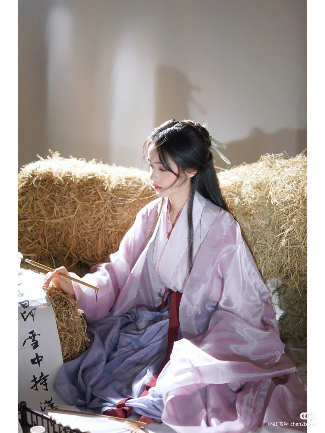 The Enchantment of a Girl in a Light Silk Hanfu The Enchantment of a Girl in a Light Silk Hanfu