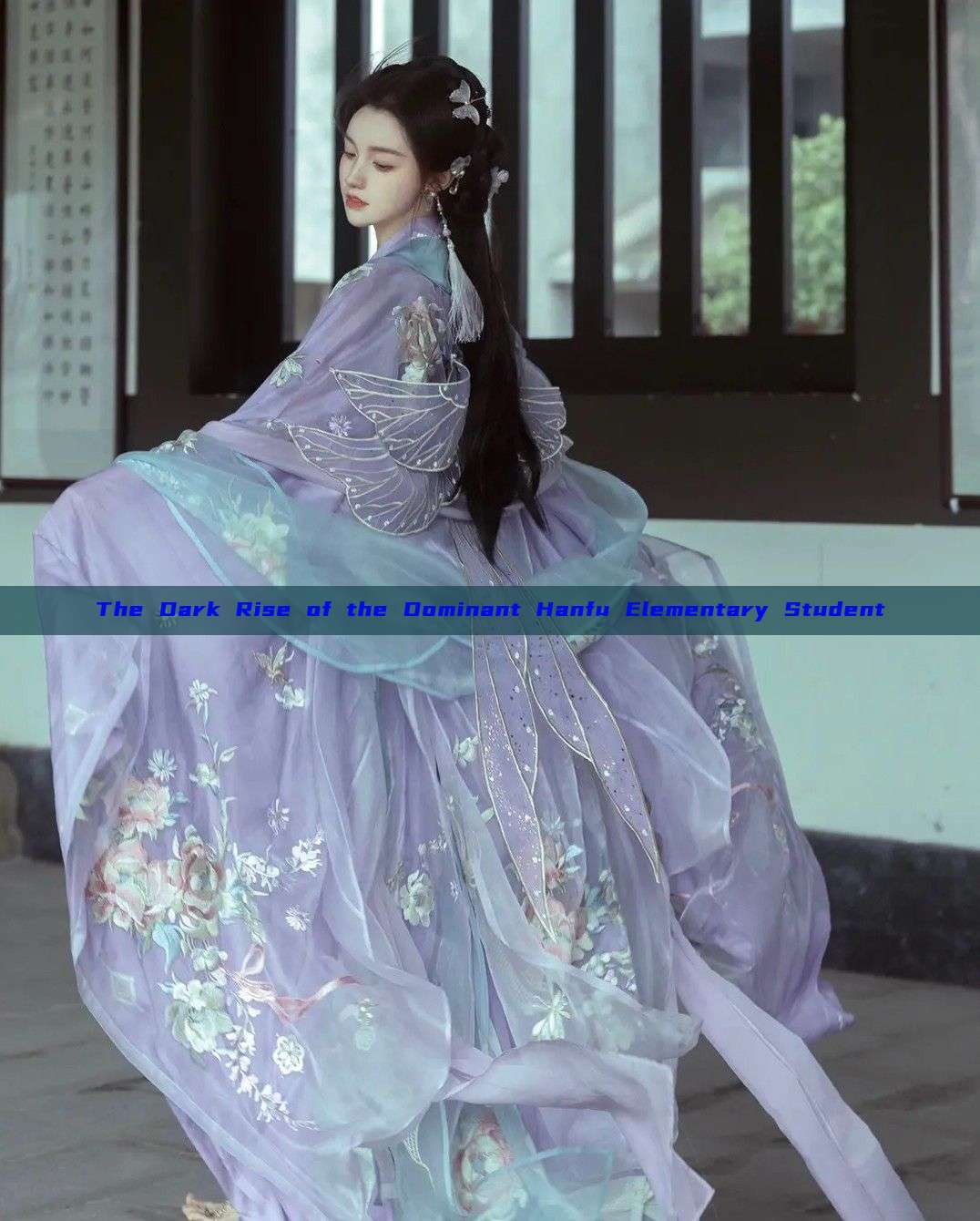 The Dark Rise of the Dominant Hanfu Elementary Student The Dark Rise of the Dominant Hanfu Elementary Student