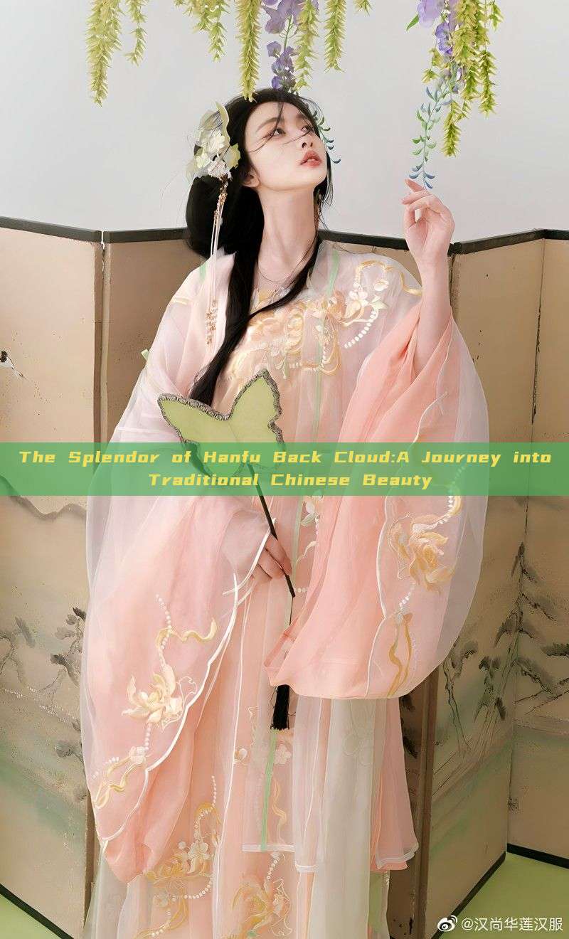 The Splendor of Hanfu Back Cloud:A Journey into Traditional Chinese Beauty The Splendor of Hanfu Back Cloud:A Journey into Traditional Chinese Beauty