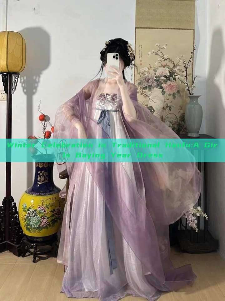 Winter Celebration in Traditional Hanfu:A Girls Baying Year Dress Winter Celebration in Traditional Hanfu:A Girls Baying Year Dress
