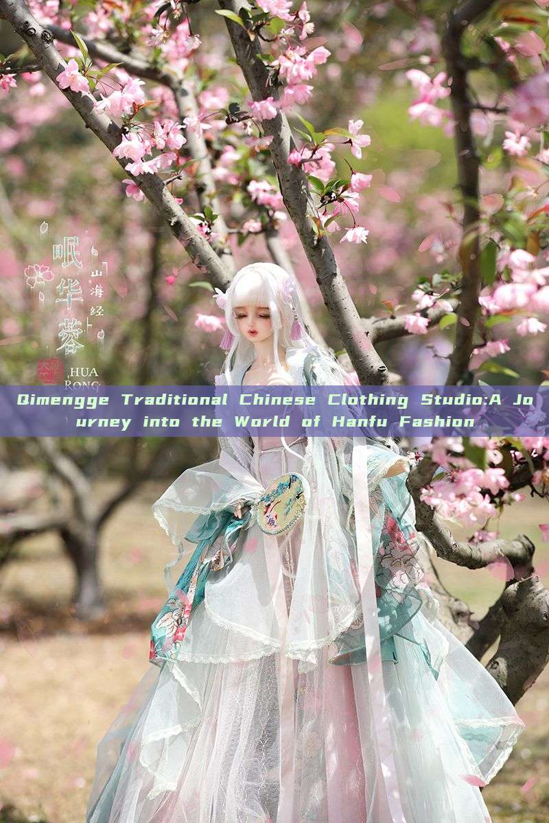 Qimengge Traditional Chinese Clothing Studio:A Journey into the World of Hanfu Fashion