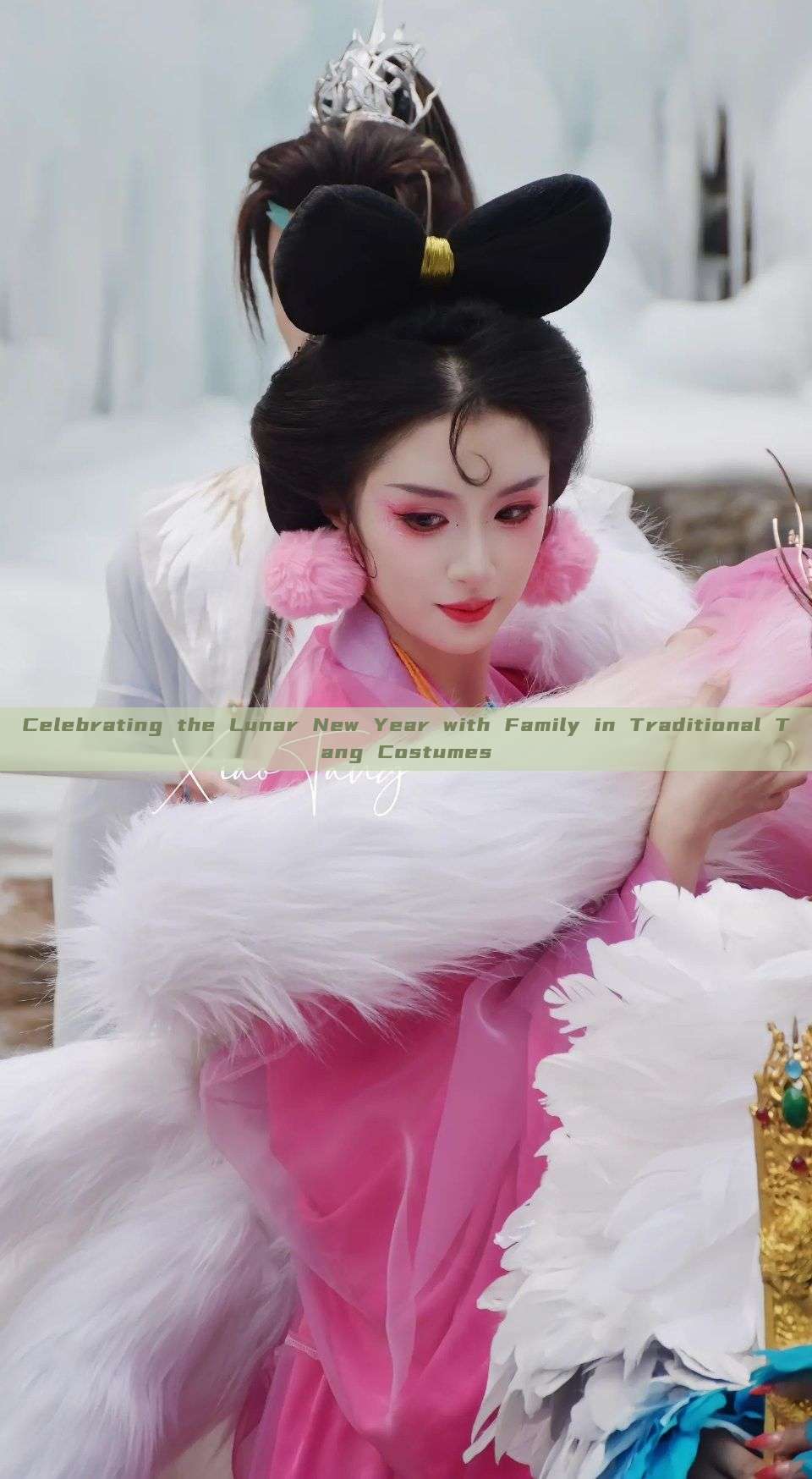 Celebrating the Lunar New Year with Family in Traditional Tang Costumes Celebrating the Lunar New Year with Family in Traditional Tang Costumes