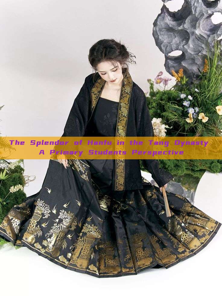 The Splendor of Hanfu in the Tang Dynasty A Primary Students Perspective The Splendor of Hanfu in the Tang Dynasty A Primary Students Perspective