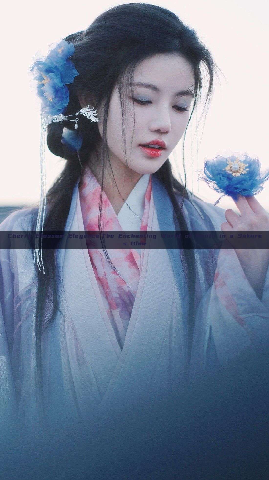 Cherry Blossom Elegance:The Enchanting World of Hanfu in a Sakuras Glow Cherry Blossom Elegance:The Enchanting World of Hanfu in a Sakuras Glow