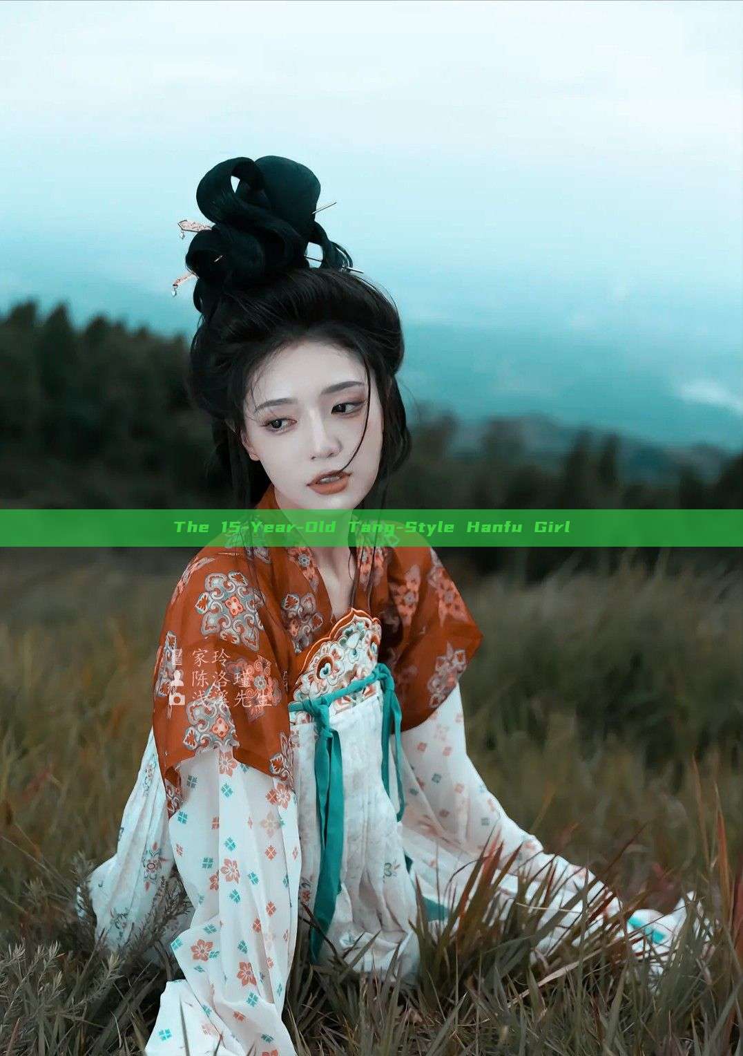 The 15-Year-Old Tang-Style Hanfu Girl The 15-Year-Old Tang-Style Hanfu Girl