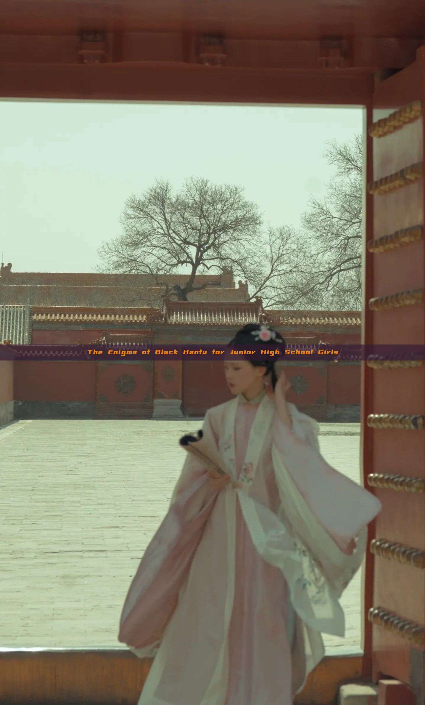 The Enigma of Black Hanfu for Junior High School Girls The Enigma of Black Hanfu for Junior High School Girls