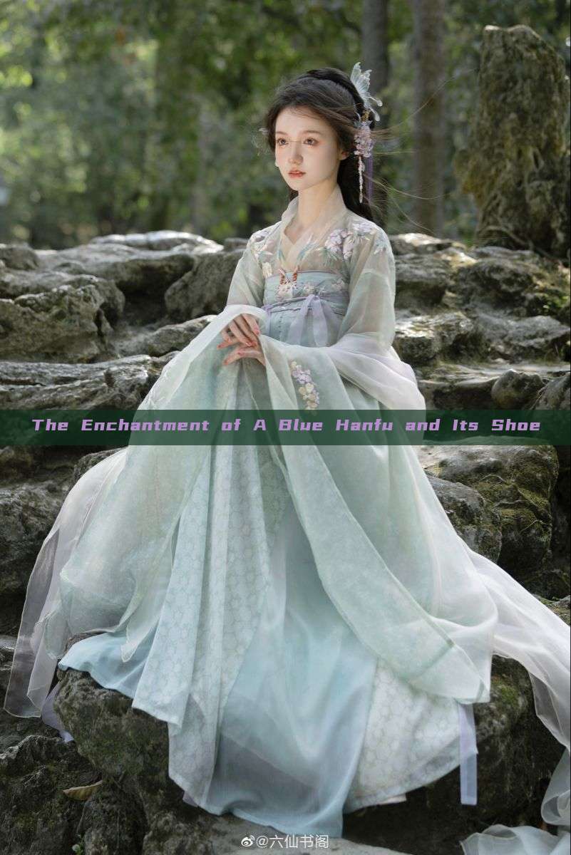 The Enchantment of A Blue Hanfu and Its Shoe The Enchantment of A Blue Hanfu and Its Shoe