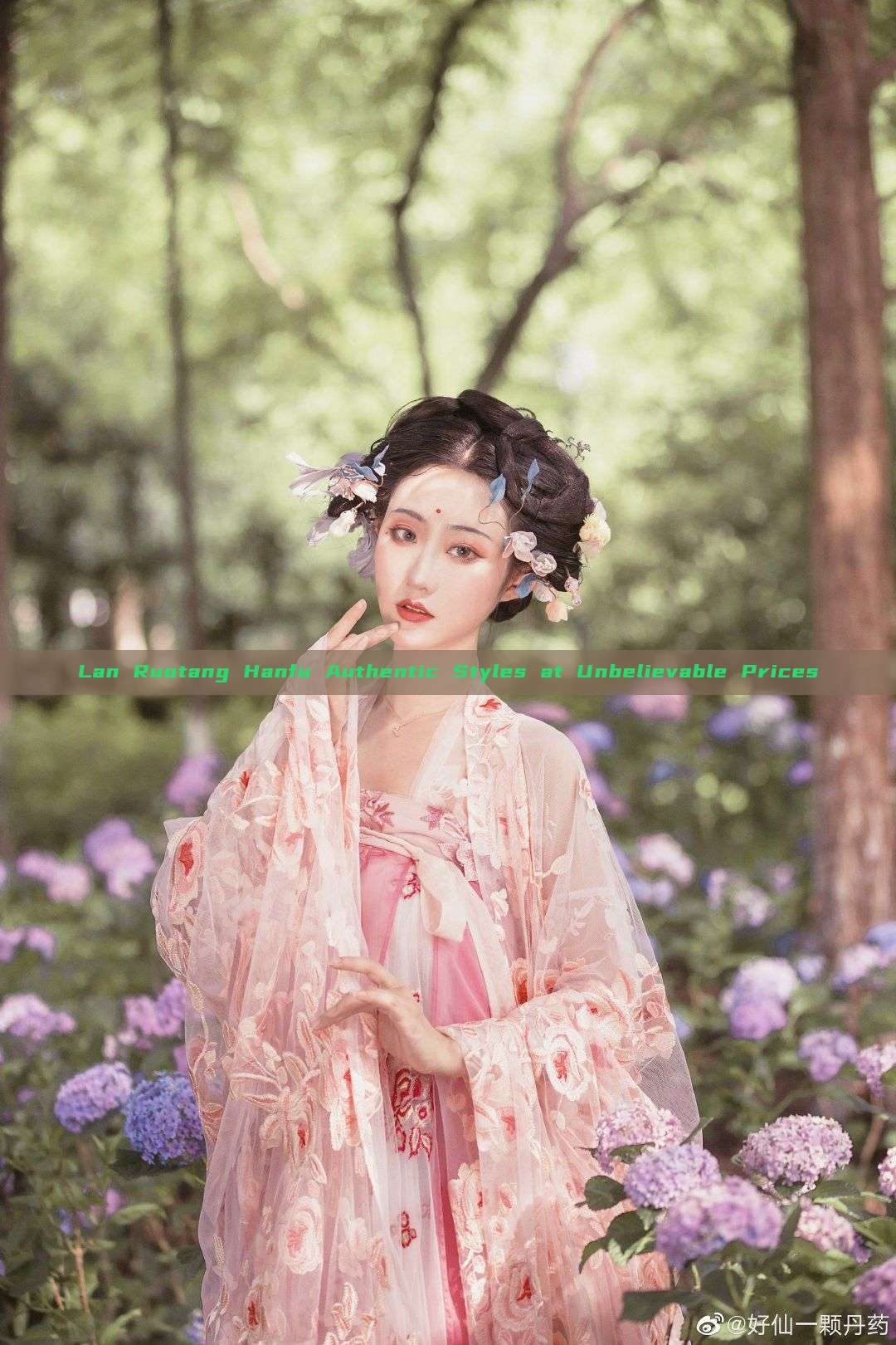 Lan Ruotang Hanfu Authentic Styles at Unbelievable Prices Lan Ruotang Hanfu Authentic Styles at Unbelievable Prices
