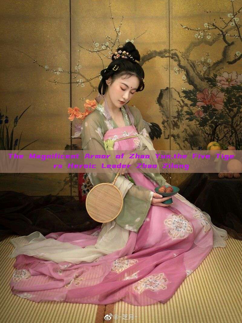 The Magnificent Armor of Zhao Yun,the Five Tigers Heroic Leader Zhao Zilong The Magnificent Armor of Zhao Yun,the Five Tigers Heroic Leader Zhao Zilong