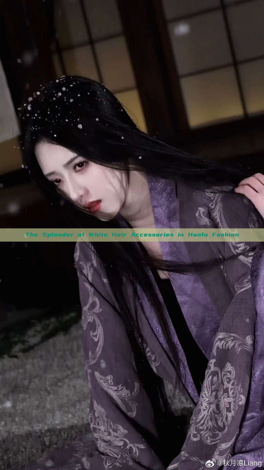 The Splendor of White Hair Accessories in Hanfu Fashion The Splendor of White Hair Accessories in Hanfu Fashion