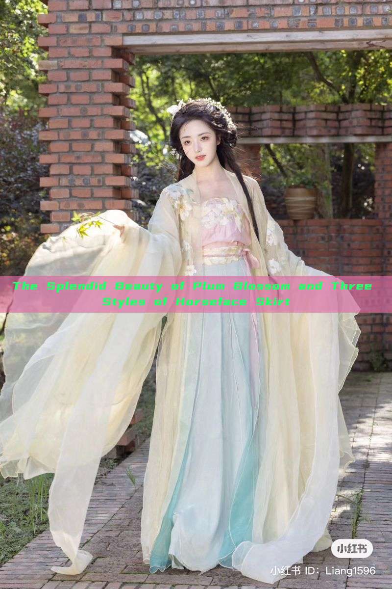 The Splendid Beauty of Plum Blossom and Three Styles of Horseface Skirt The Splendid Beauty of Plum Blossom and Three Styles of Horseface Skirt