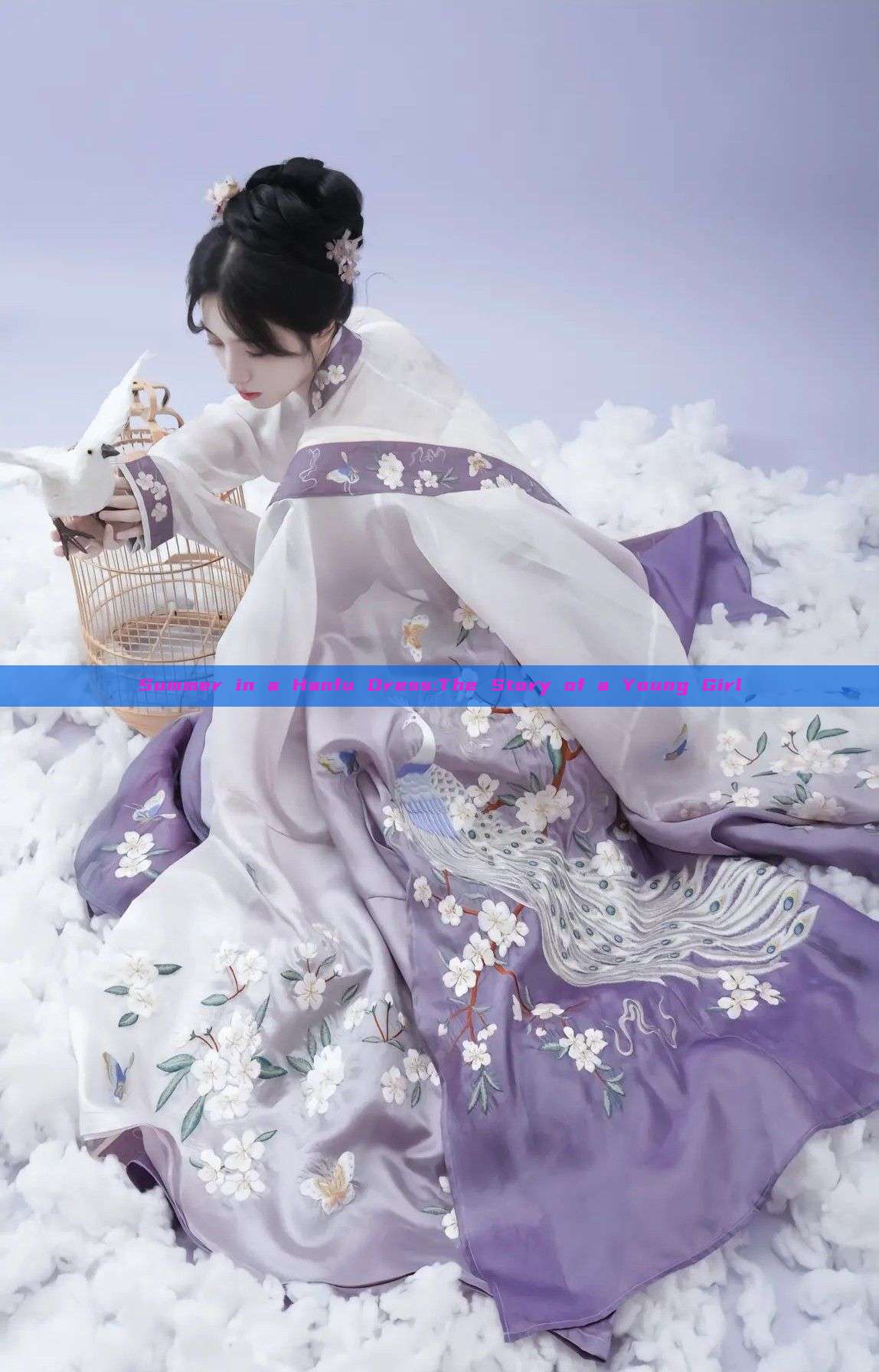 Summer in a Hanfu Dress:The Story of a Young Girl Summer in a Hanfu Dress:The Story of a Young Girl