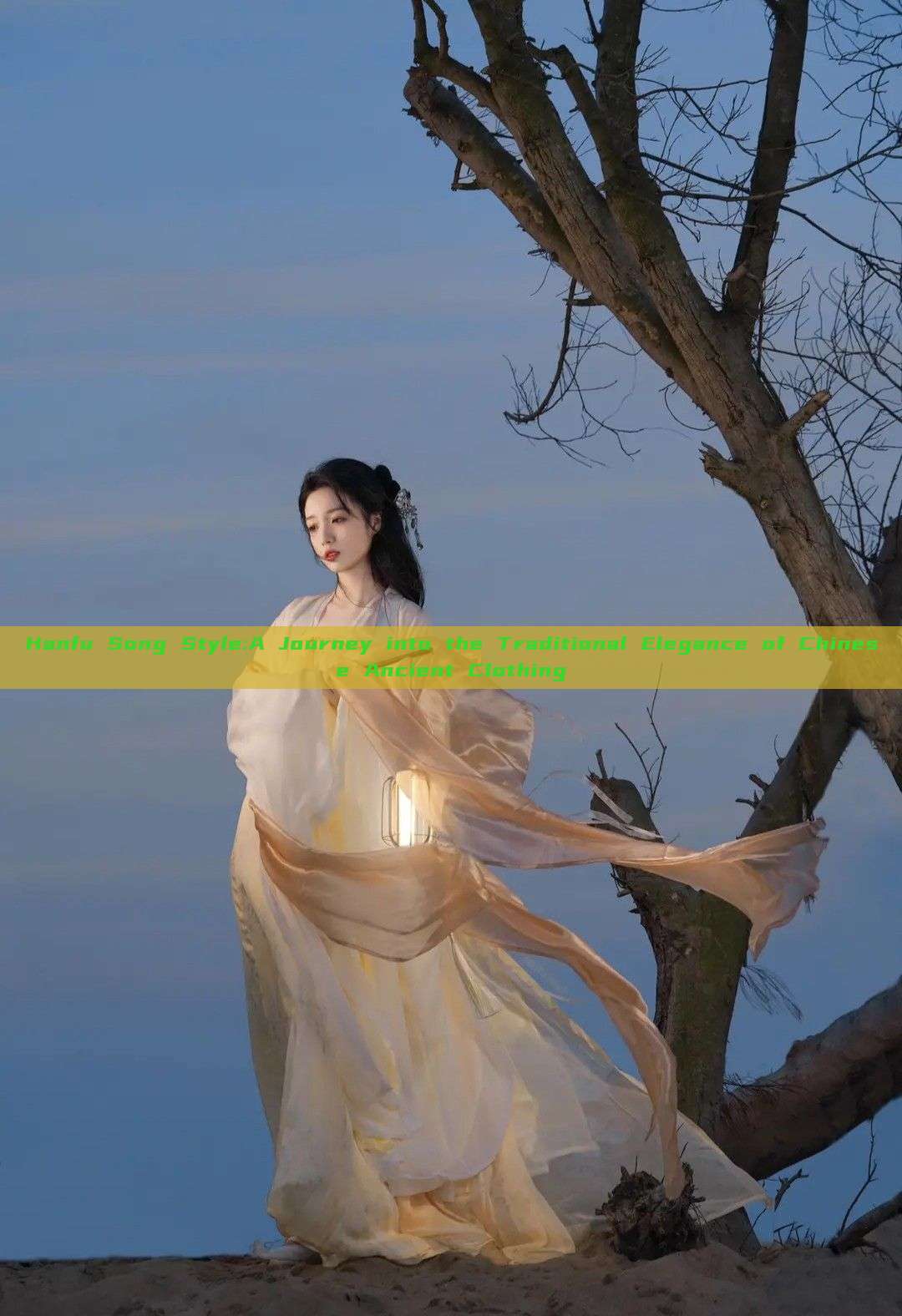 Hanfu Song Style:A Journey into the Traditional Elegance of Chinese Ancient Clothing Hanfu Song Style:A Journey into the Traditional Elegance of Chinese Ancient Clothing