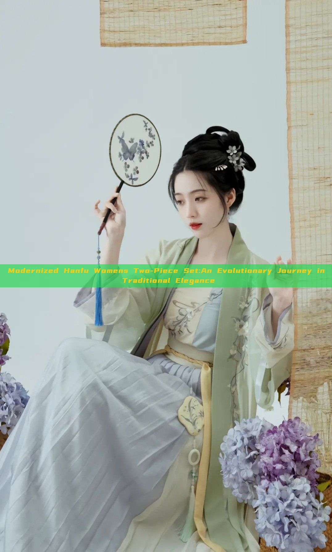 Modernized Hanfu Womens Two-Piece Set:An Evolutionary Journey in Traditional Elegance Modernized Hanfu Womens Two-Piece Set:An Evolutionary Journey in Traditional Elegance