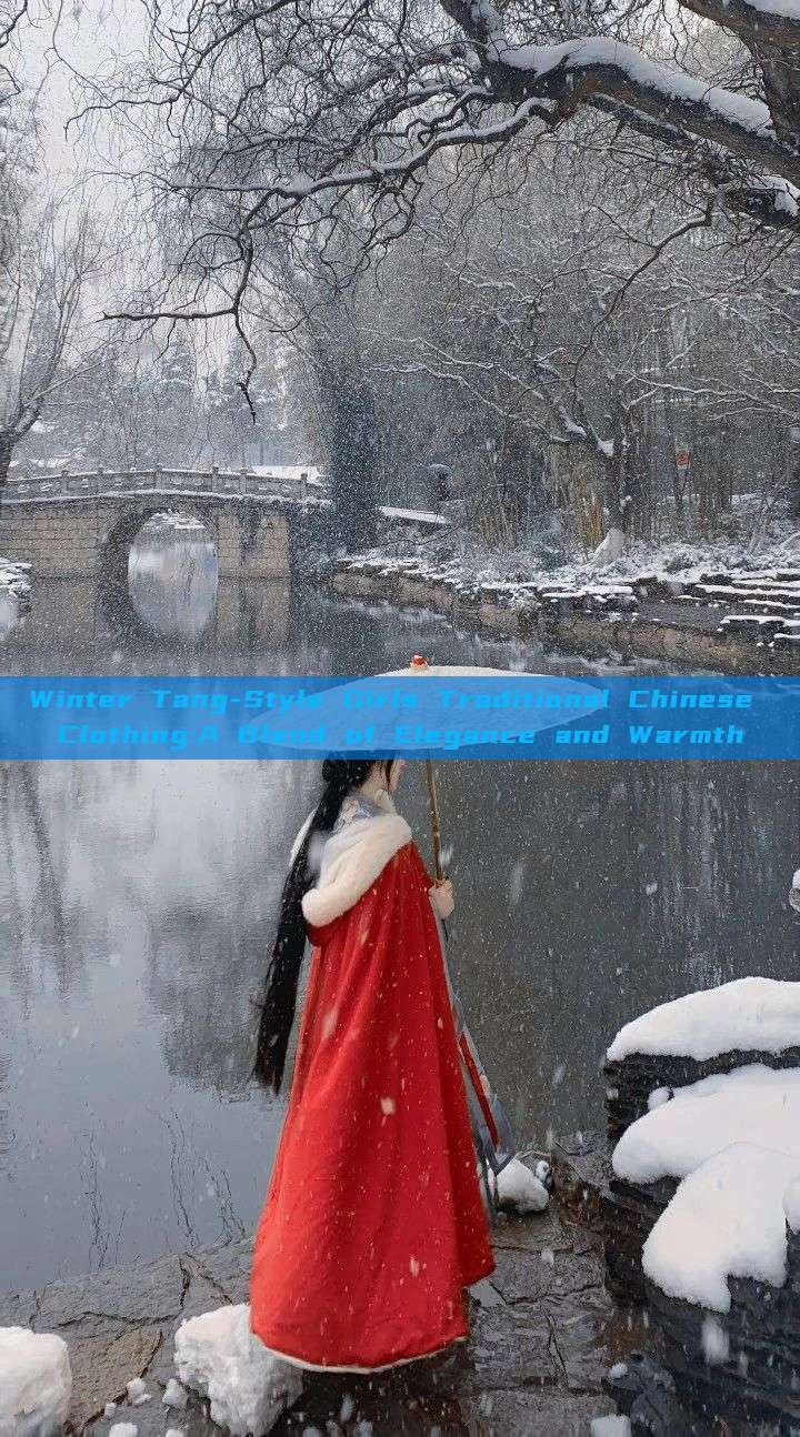 Winter Tang-Style Girls Traditional Chinese Clothing:A Blend of Elegance and Warmth Winter Tang-Style Girls Traditional Chinese Clothing:A Blend of Elegance and Warmth