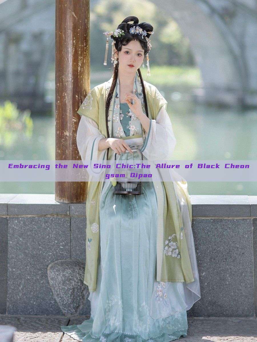 Embracing the New Sino Chic:The Allure of Black Cheongsam Qipao Embracing the New Sino Chic:The Allure of Black Cheongsam Qipao