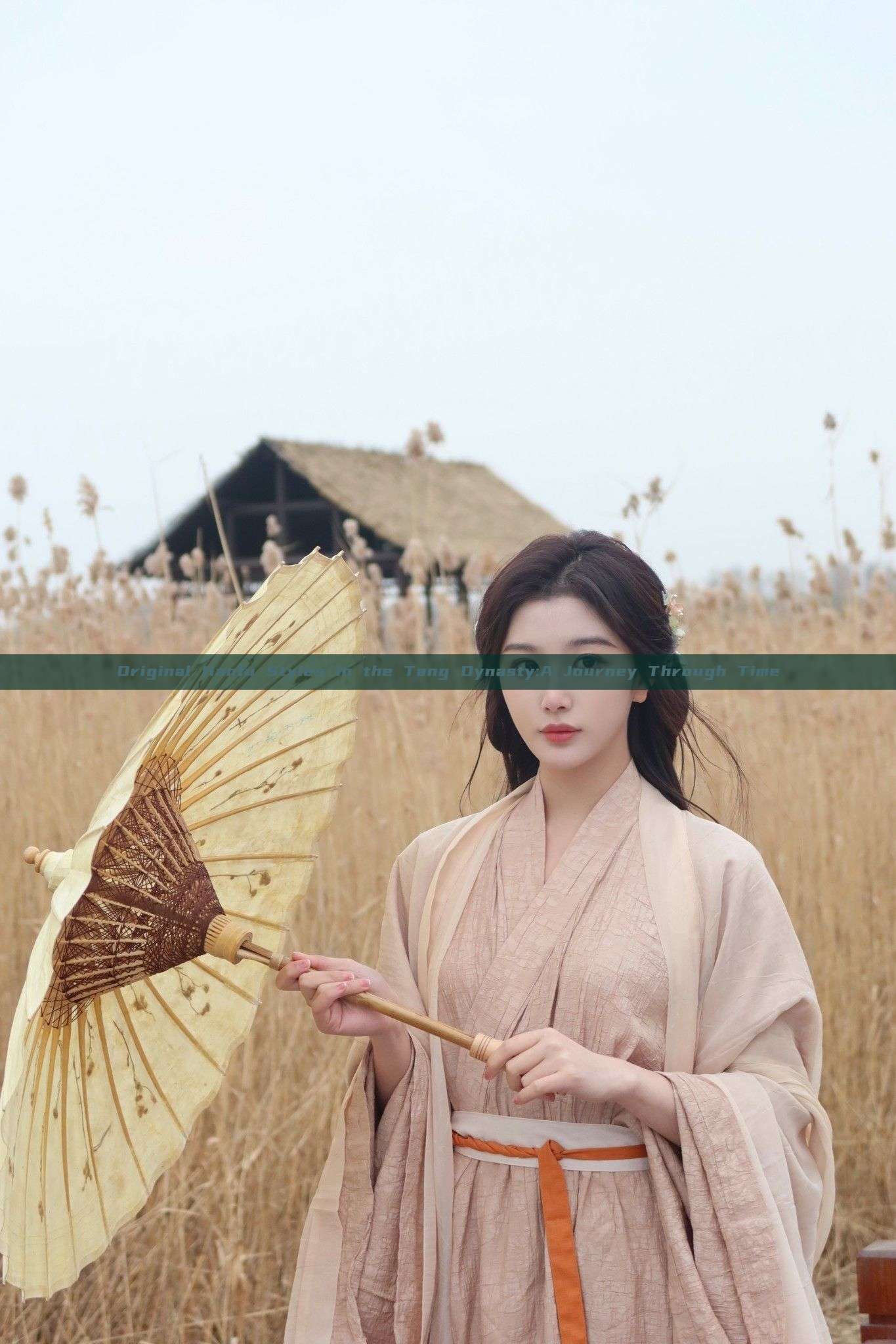 Original Hanfu Styles in the Tang Dynasty:A Journey Through Time Original Hanfu Styles in the Tang Dynasty:A Journey Through Time