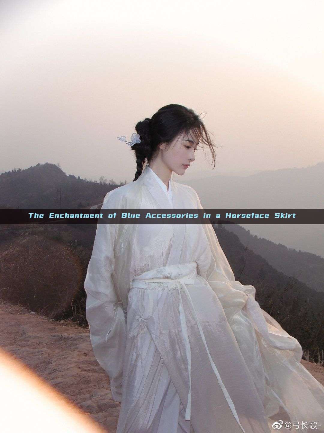 The Enchantment of Blue Accessories in a Horseface Skirt The Enchantment of Blue Accessories in a Horseface Skirt