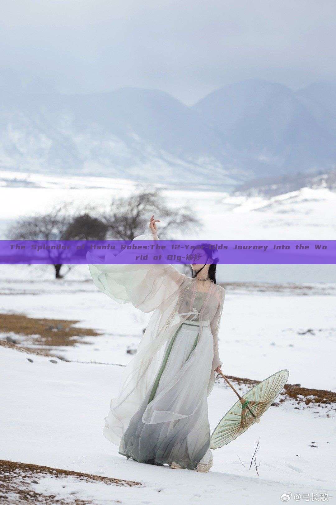 The Splendor of Hanfu Robes:The 12-Year-Olds Journey into the World of Big-袖衫
