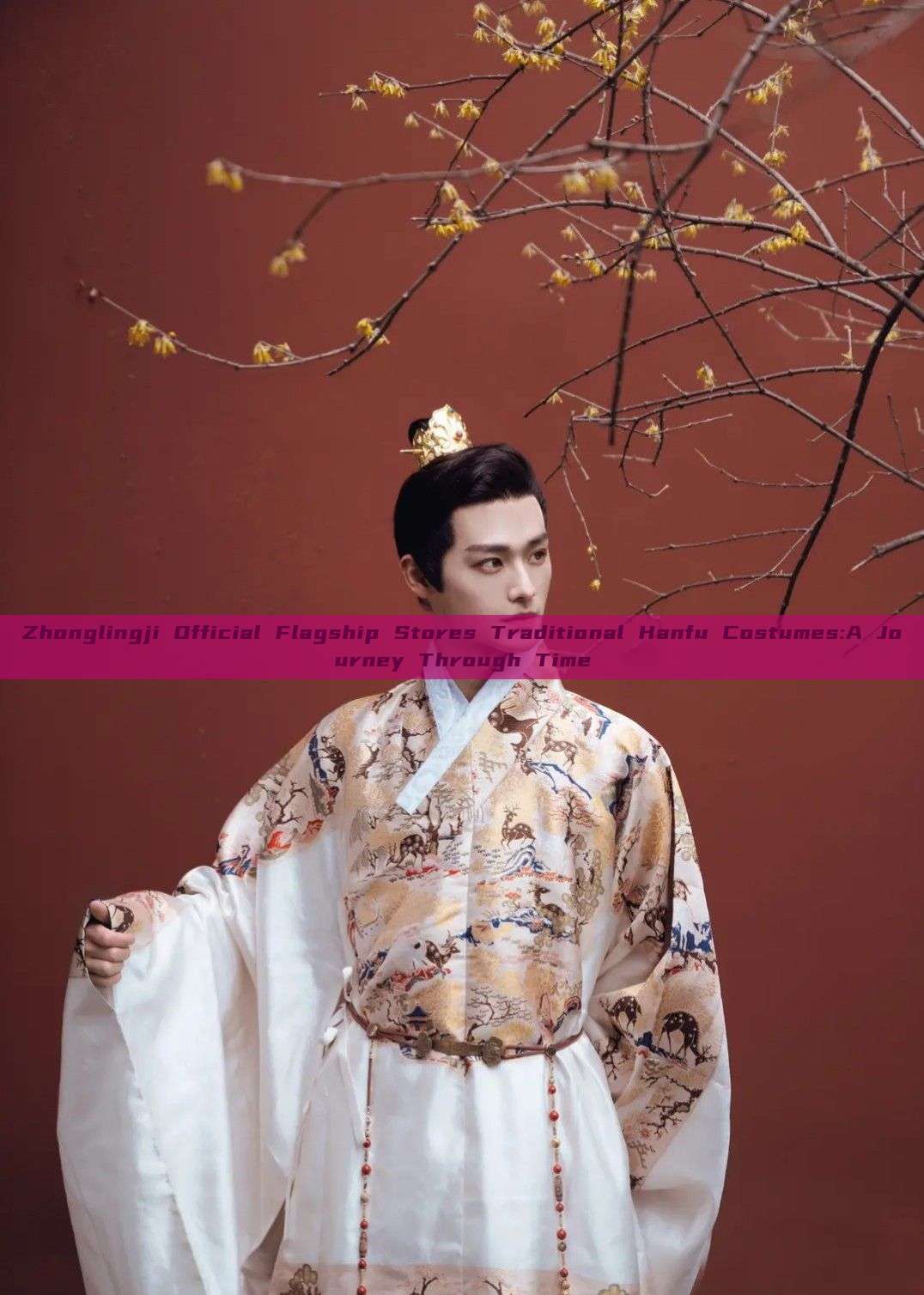 Zhonglingji Official Flagship Stores Traditional Hanfu Costumes:A Journey Through Time Zhonglingji Official Flagship Stores Traditional Hanfu Costumes:A Journey Through Time