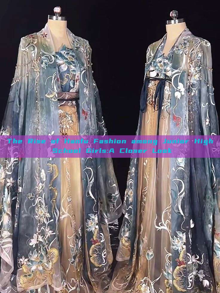 The Rise of Hanfu Fashion among Junior High School Girls:A Closer Look
