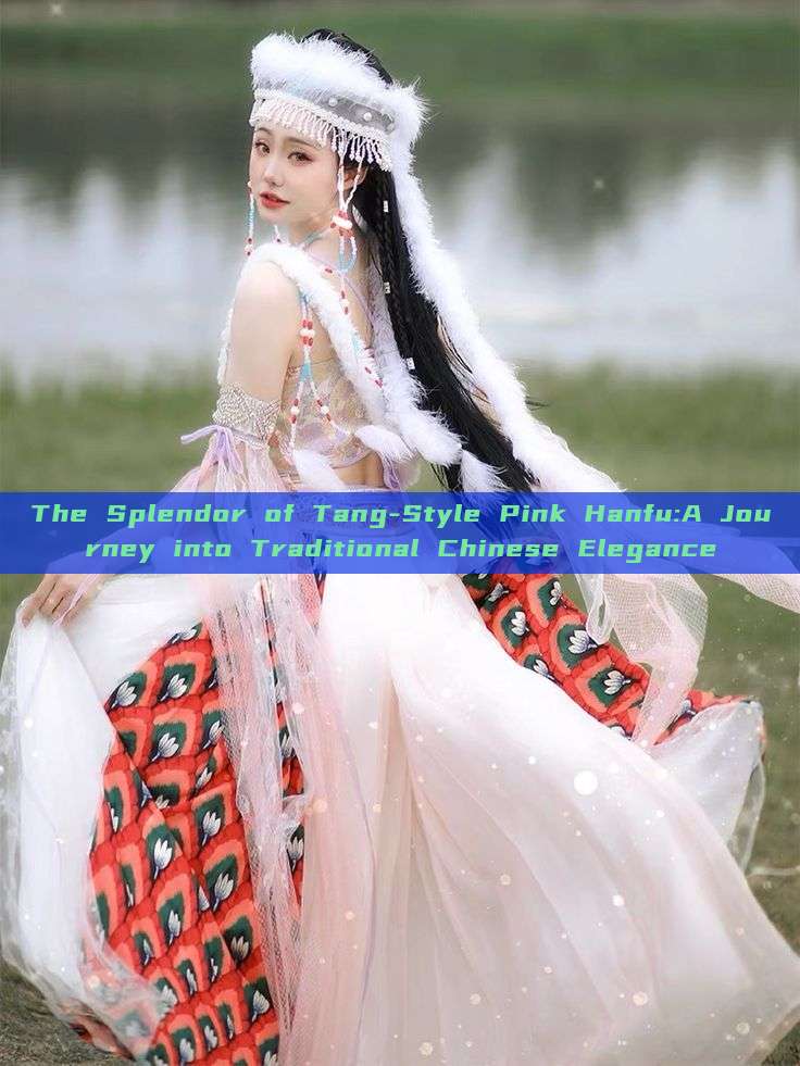 The Splendor of Tang-Style Pink Hanfu:A Journey into Traditional Chinese Elegance The Splendor of Tang-Style Pink Hanfu:A Journey into Traditional Chinese Elegance