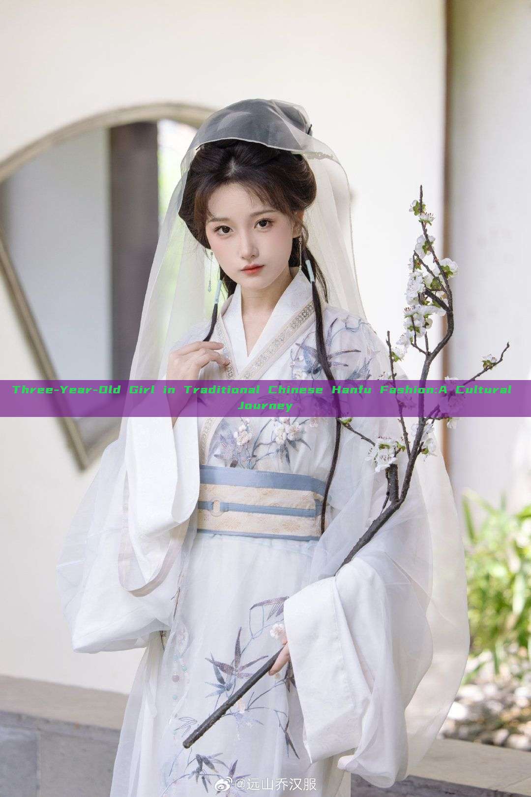 Three-Year-Old Girl in Traditional Chinese Hanfu Fashion:A Cultural Journey Three-Year-Old Girl in Traditional Chinese Hanfu Fashion:A Cultural Journey