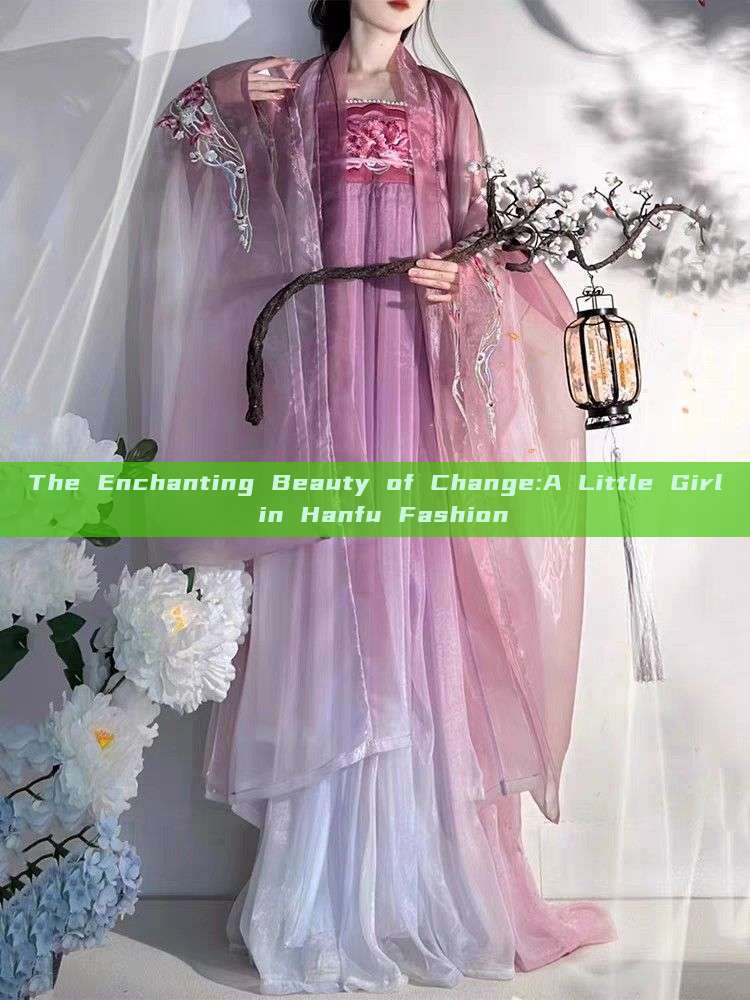 The Enchanting Beauty of Change:A Little Girl in Hanfu Fashion