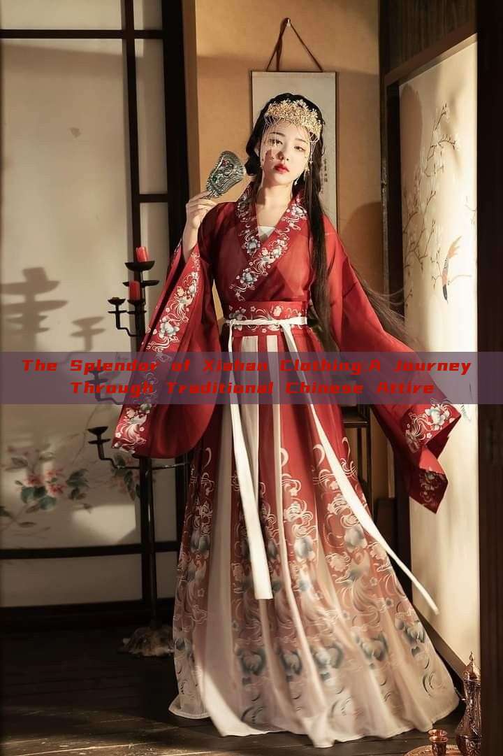 The Splendor of Xiahan Clothing:A Journey Through Traditional Chinese Attire The Splendor of Xiahan Clothing:A Journey Through Traditional Chinese Attire