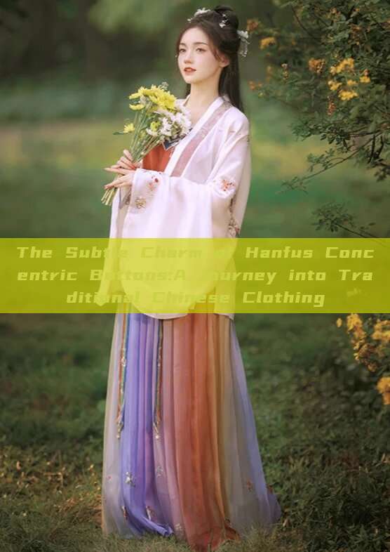 The Subtle Charm of Hanfus Concentric Buttons:A Journey into Traditional Chinese Clothing
