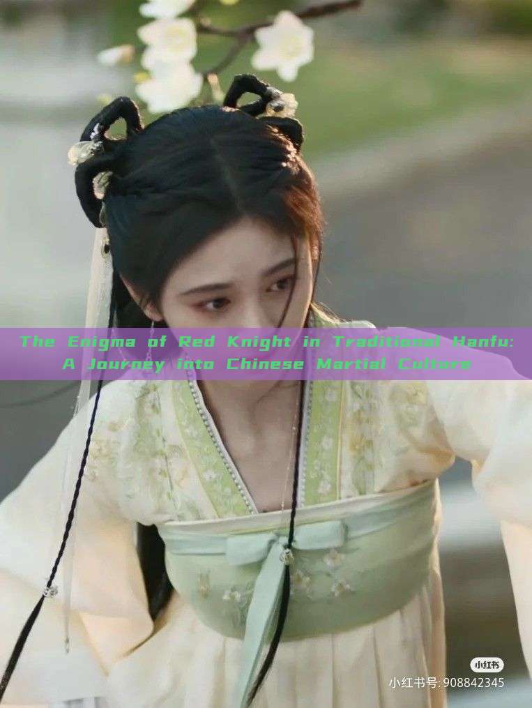 The Enigma of Red Knight in Traditional Hanfu:A Journey into Chinese Martial Culture