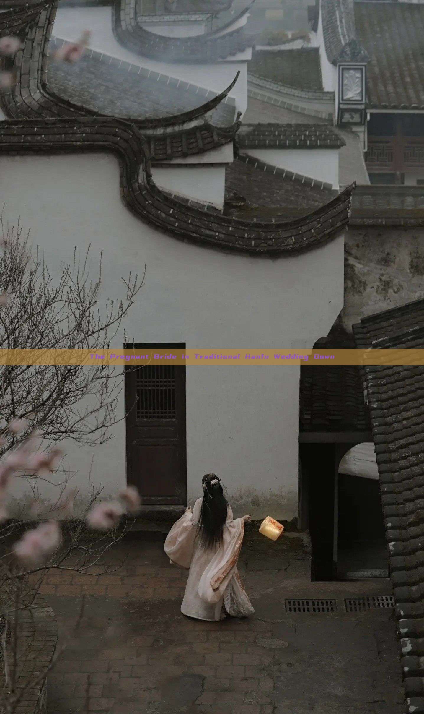 The Pregnant Bride in Traditional Hanfu Wedding Gown The Pregnant Bride in Traditional Hanfu Wedding Gown