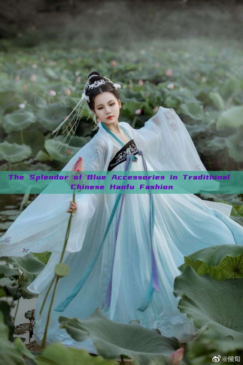 The Splendor of Blue Accessories in Traditional Chinese Hanfu Fashion The Splendor of Blue Accessories in Traditional Chinese Hanfu Fashion