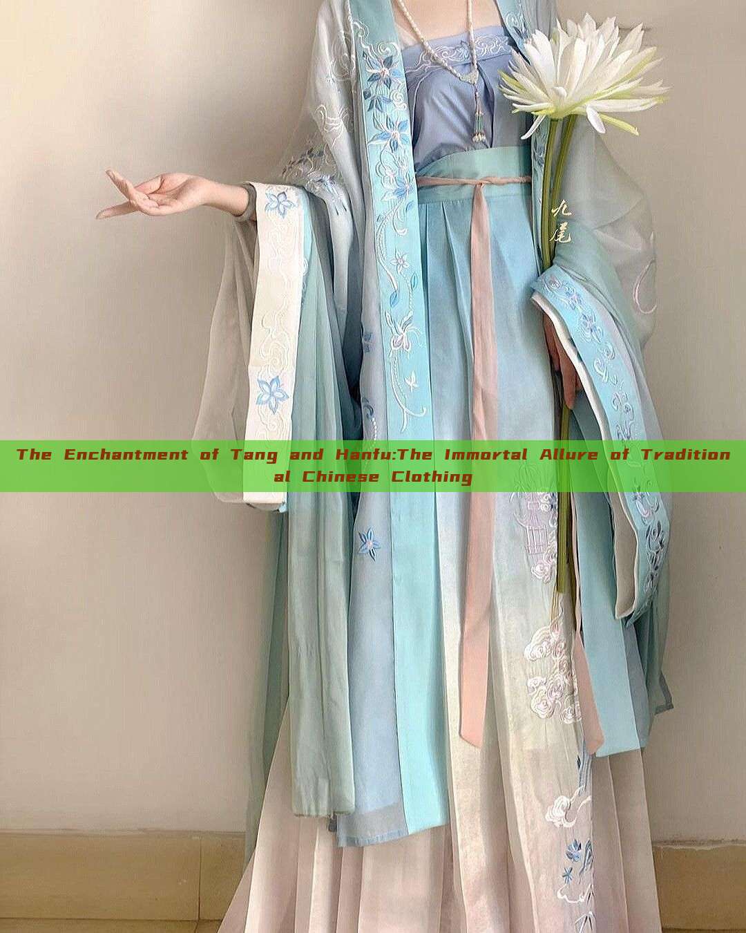 The Enchantment of Tang and Hanfu:The Immortal Allure of Traditional Chinese Clothing The Enchantment of Tang and Hanfu:The Immortal Allure of Traditional Chinese Clothing