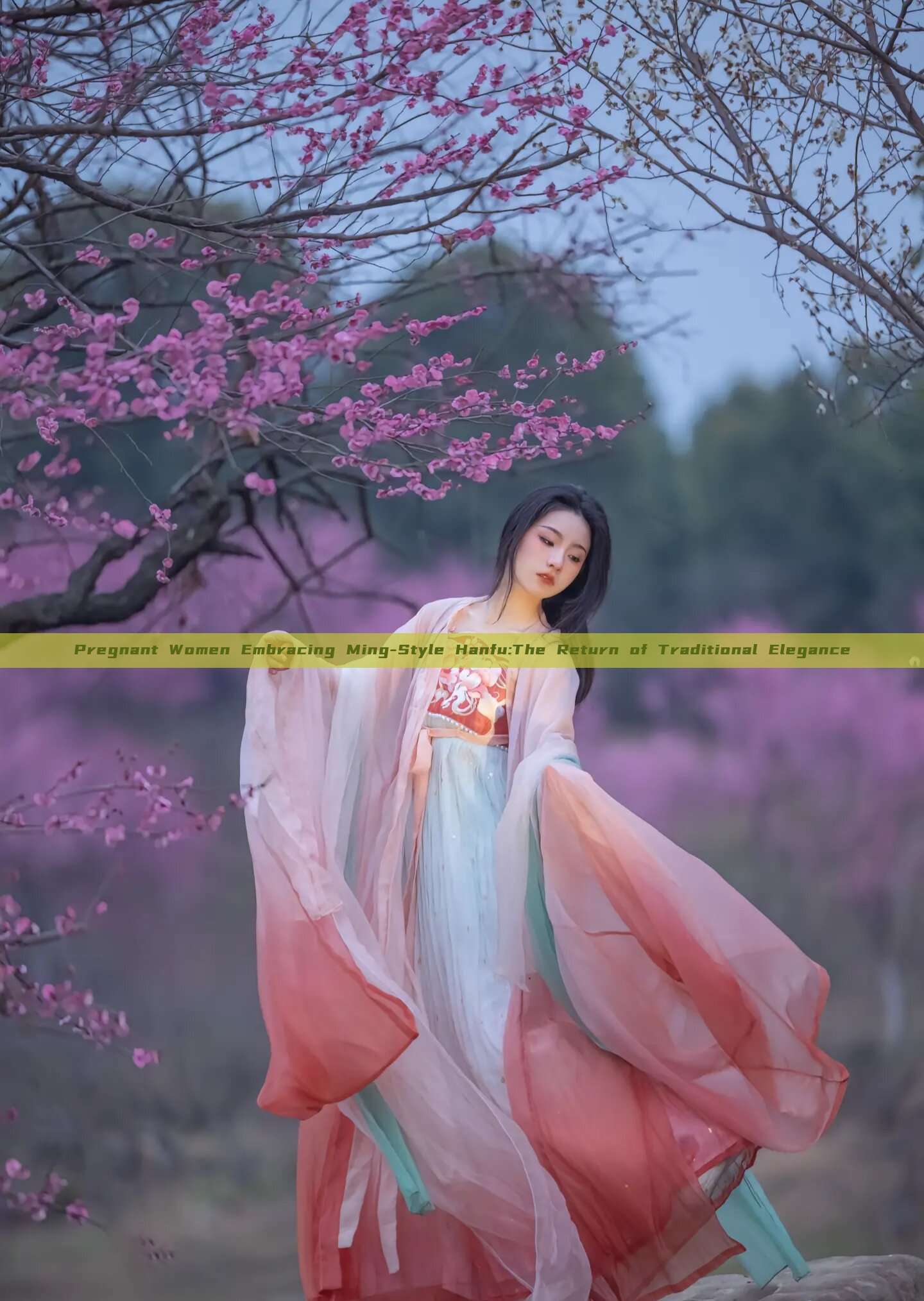 Pregnant Women Embracing Ming-Style Hanfu:The Return of Traditional Elegance Pregnant Women Embracing Ming-Style Hanfu:The Return of Traditional Elegance