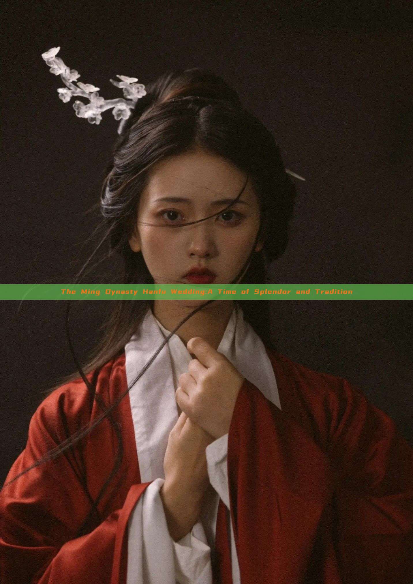 The Ming Dynasty Hanfu Wedding:A Time of Splendor and Tradition The Ming Dynasty Hanfu Wedding:A Time of Splendor and Tradition