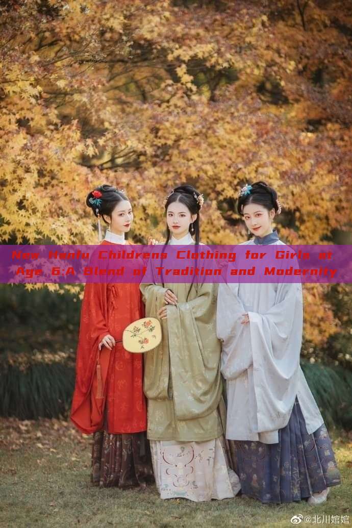 New Hanfu Childrens Clothing for Girls at Age 6:A Blend of Tradition and Modernity New Hanfu Childrens Clothing for Girls at Age 6:A Blend of Tradition and Modernity