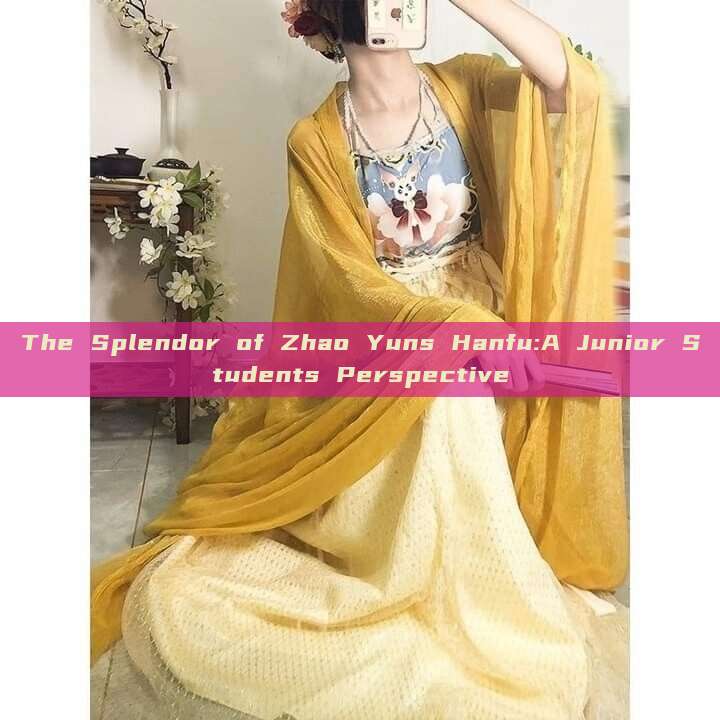 The Splendor of Zhao Yuns Hanfu:A Junior Students Perspective The Splendor of Zhao Yuns Hanfu:A Junior Students Perspective