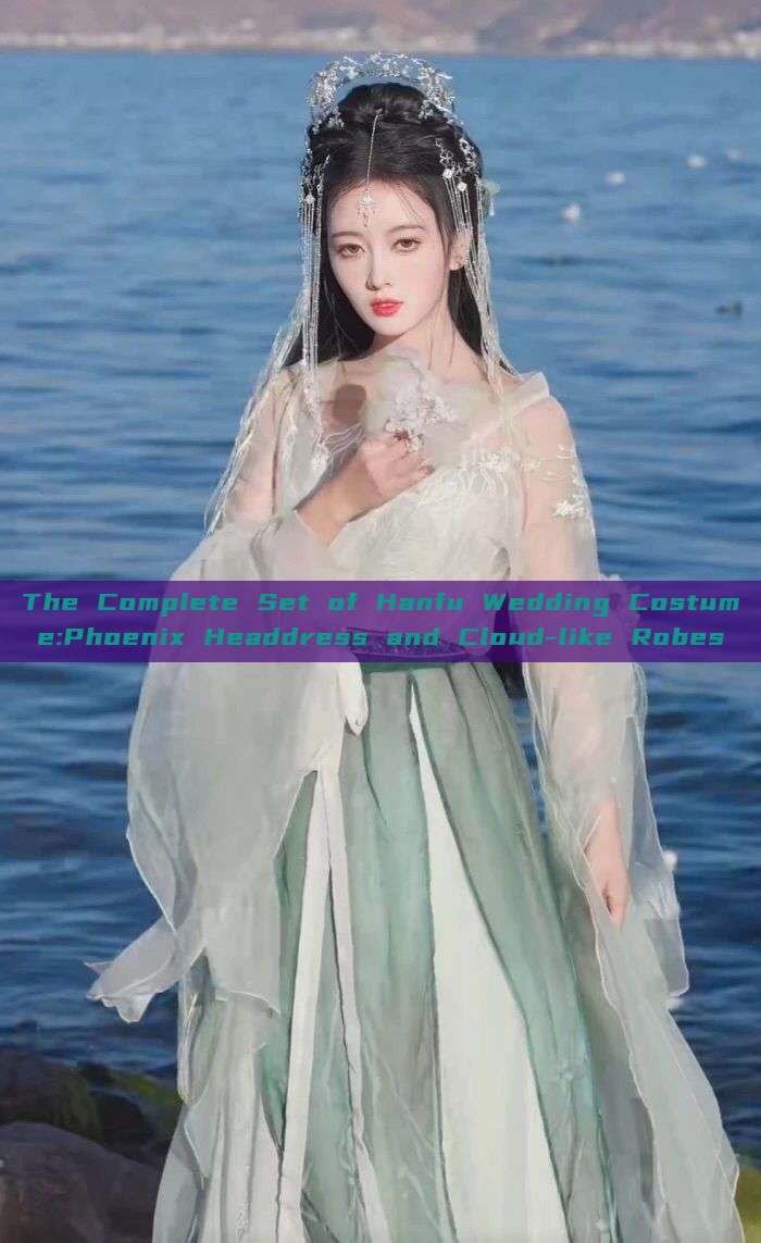 The Complete Set of Hanfu Wedding Costume:Phoenix Headdress and Cloud-like Robes The Complete Set of Hanfu Wedding Costume:Phoenix Headdress and Cloud-like Robes