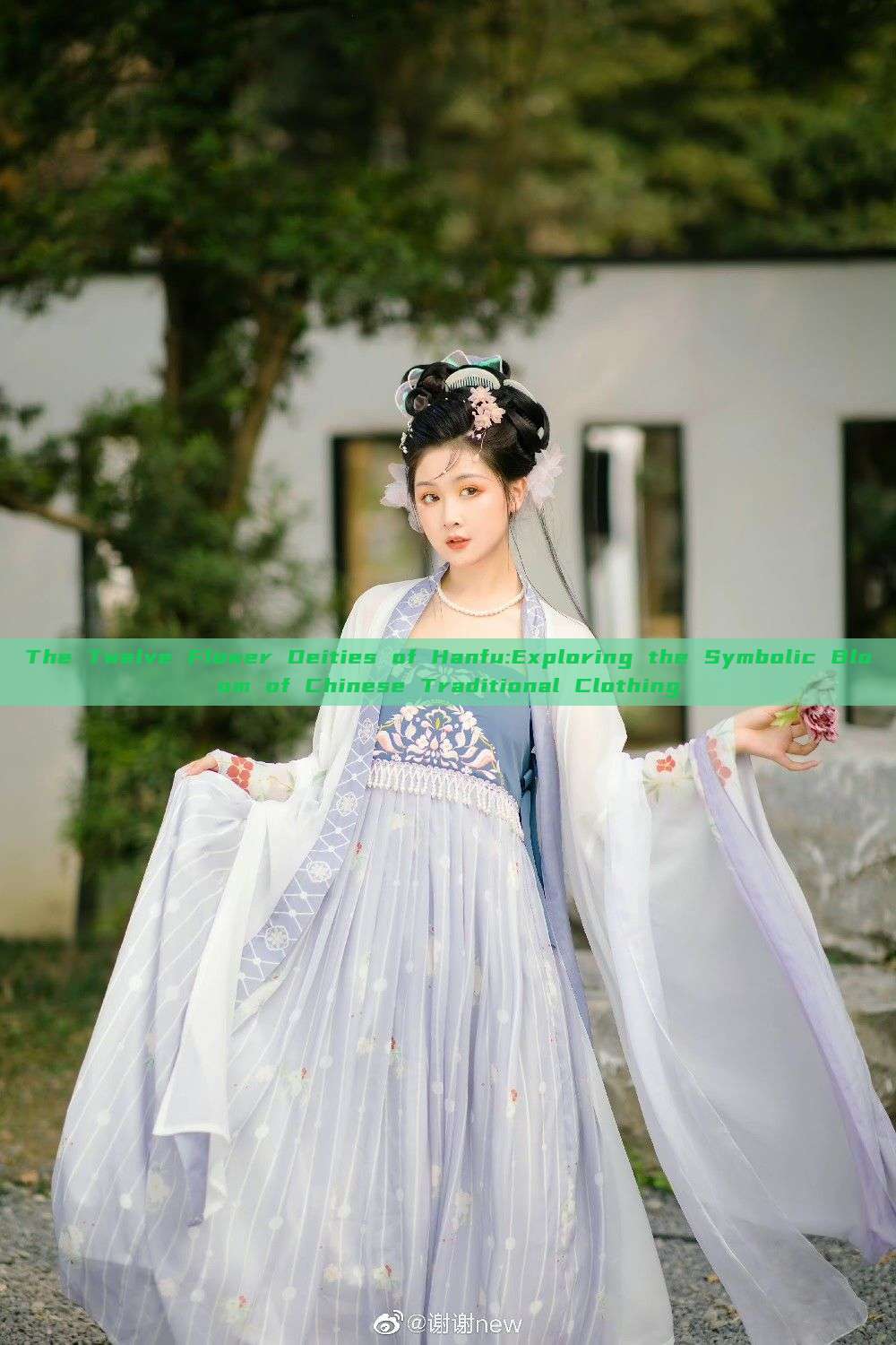 The Twelve Flower Deities of Hanfu:Exploring the Symbolic Bloom of Chinese Traditional Clothing The Twelve Flower Deities of Hanfu:Exploring the Symbolic Bloom of Chinese Traditional Clothing