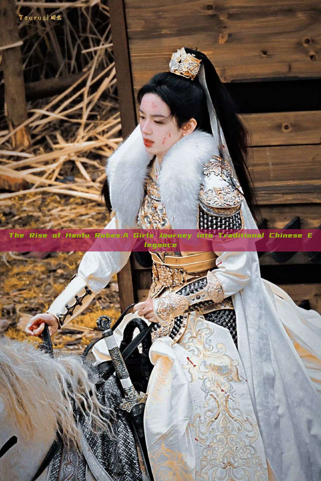 The Rise of Hanfu Robes:A Girls Journey into Traditional Chinese Elegance The Rise of Hanfu Robes:A Girls Journey into Traditional Chinese Elegance