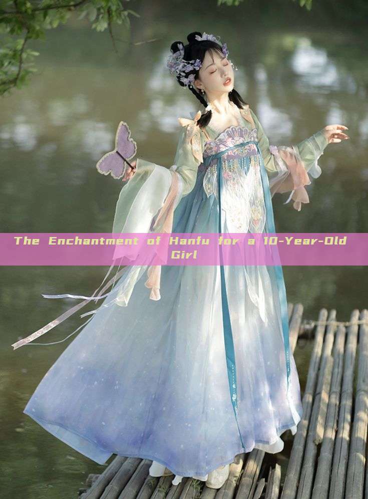 The Enchantment of Hanfu for a 10-Year-Old Girl The Enchantment of Hanfu for a 10-Year-Old Girl